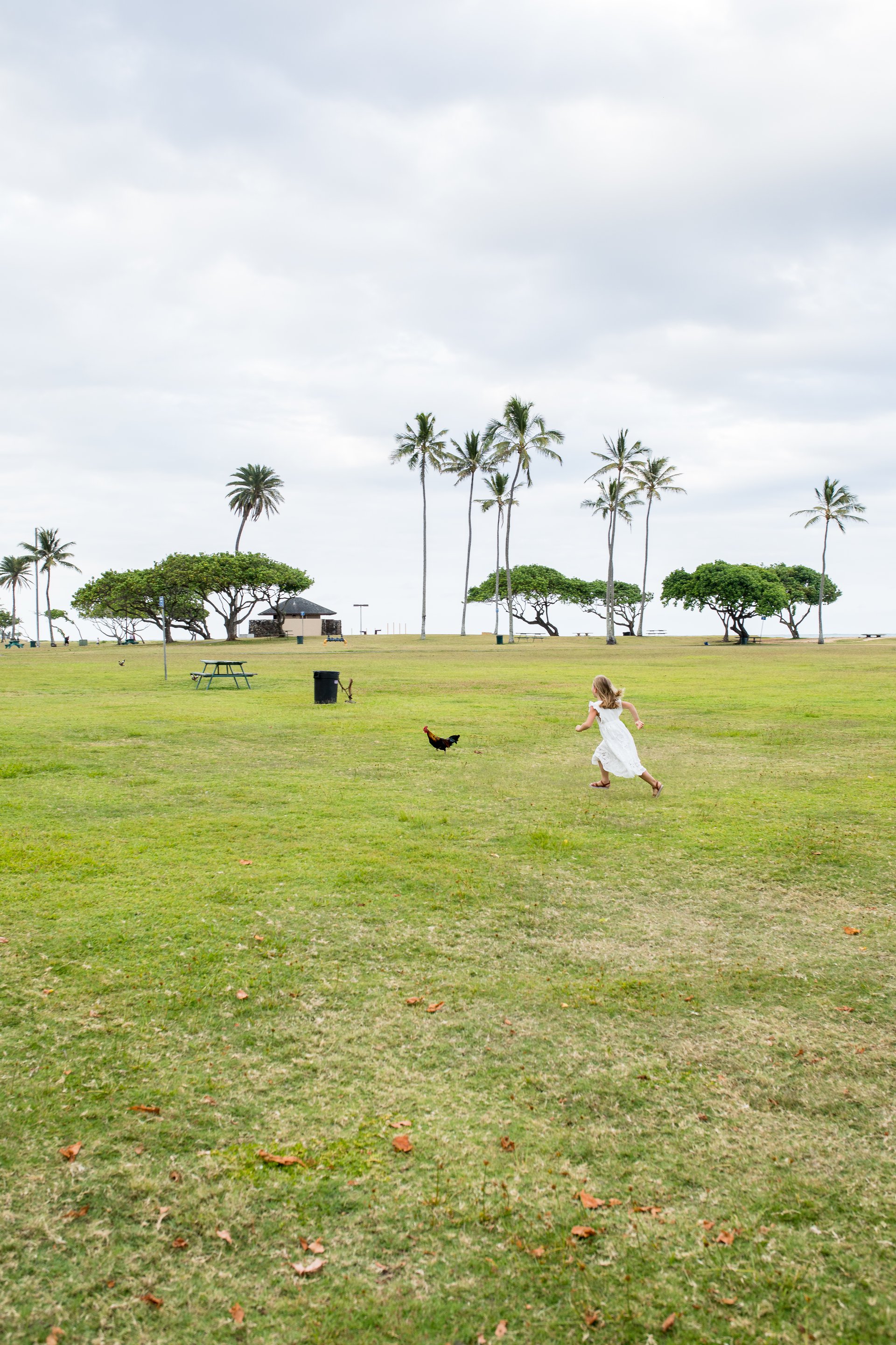 Honolulu-United States-travel-story-Flytographer-11