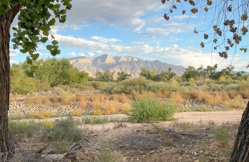 Albuquerque photoshoot at Bosque Trail
