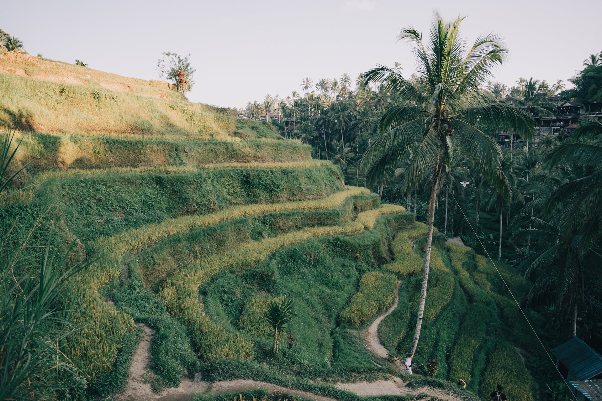 Bali-Indonesia-travel-story-Flytographer-43