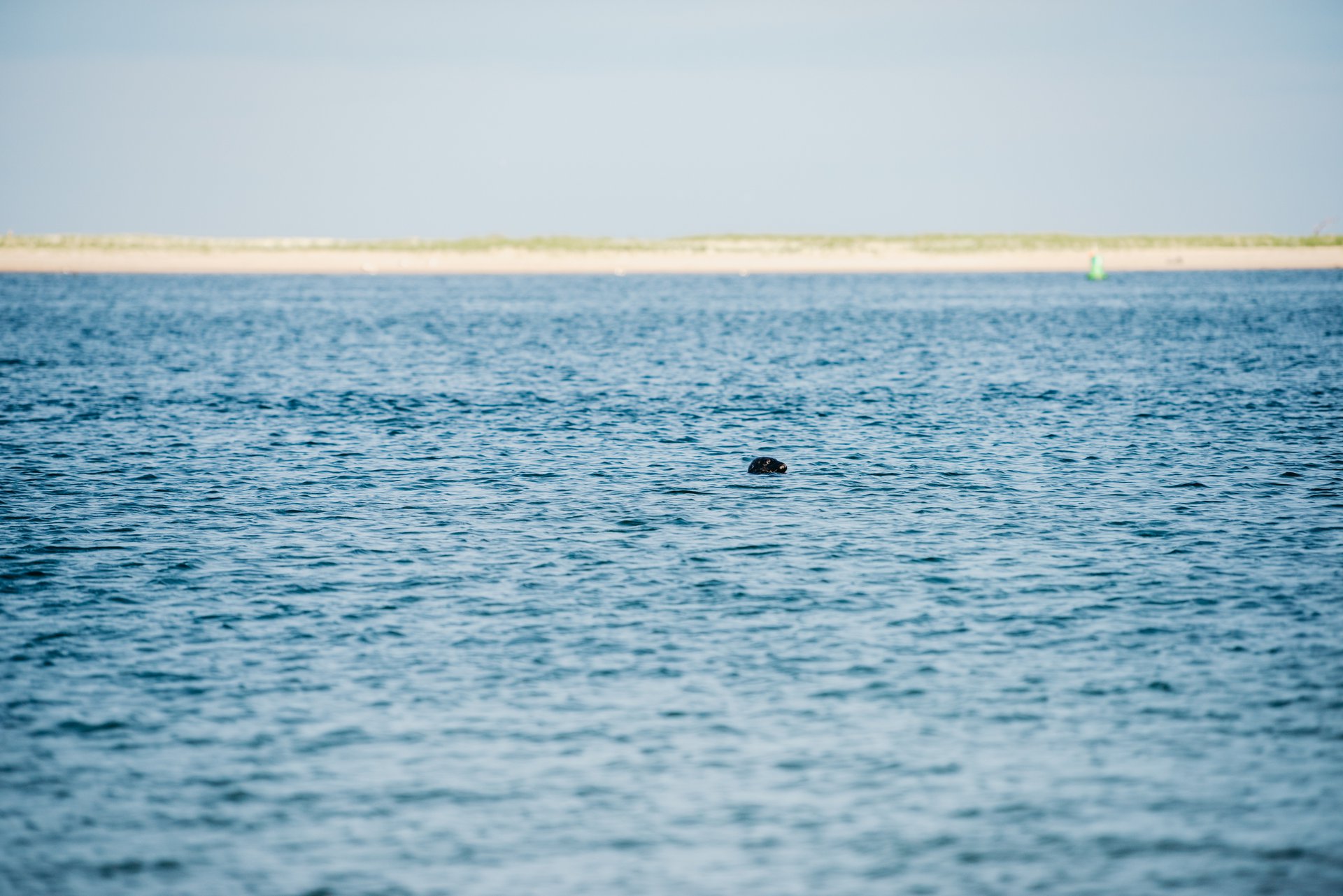 Cape Cod-United States-travel-story-Flytographer-31