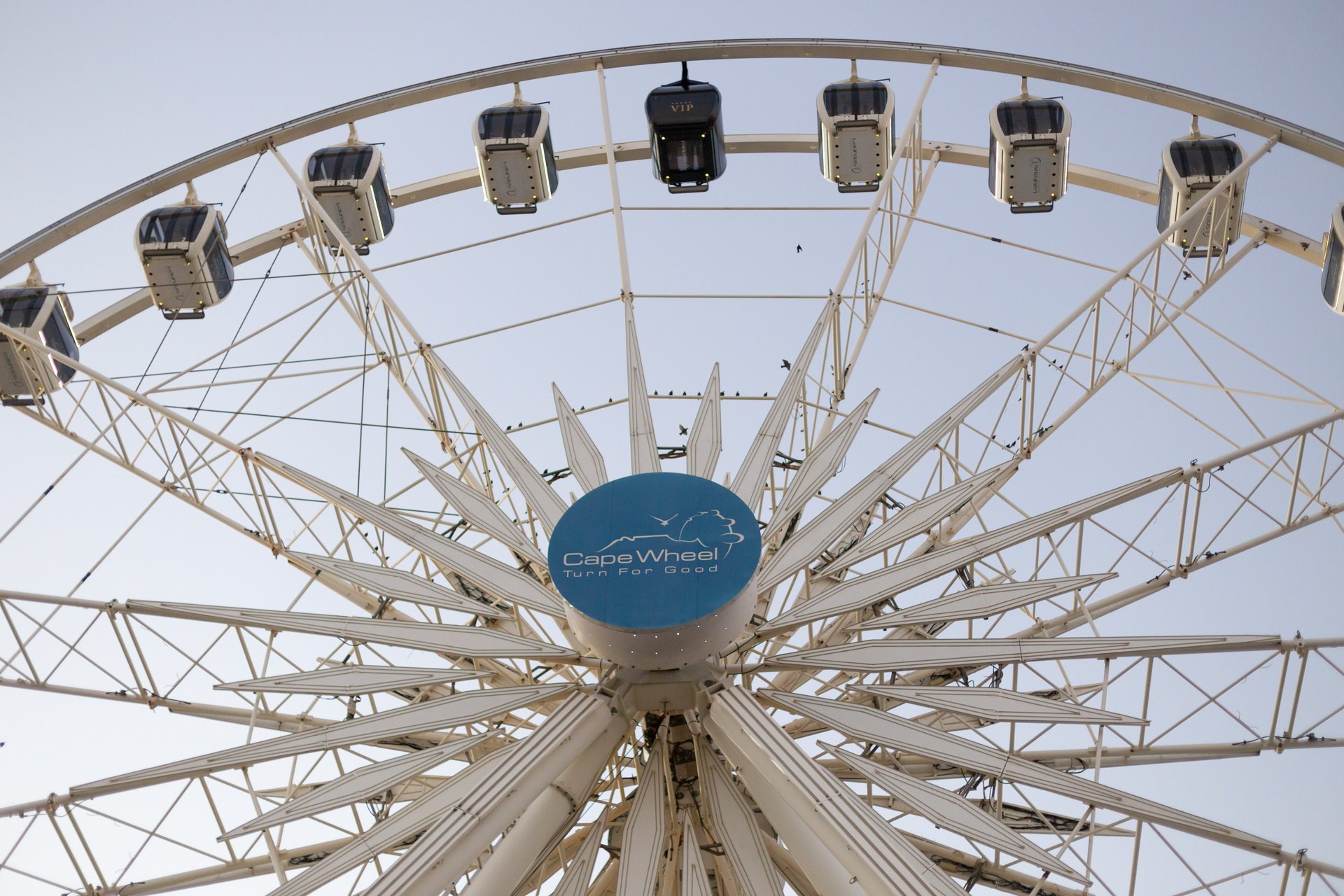 Cape Town-South Africa-travel-story-Flytographer-3