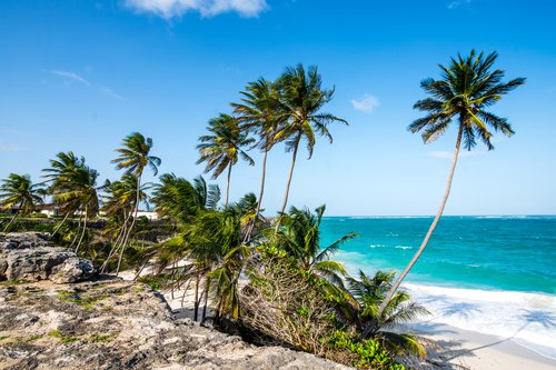 Barbados photoshoot at Bottom Bay