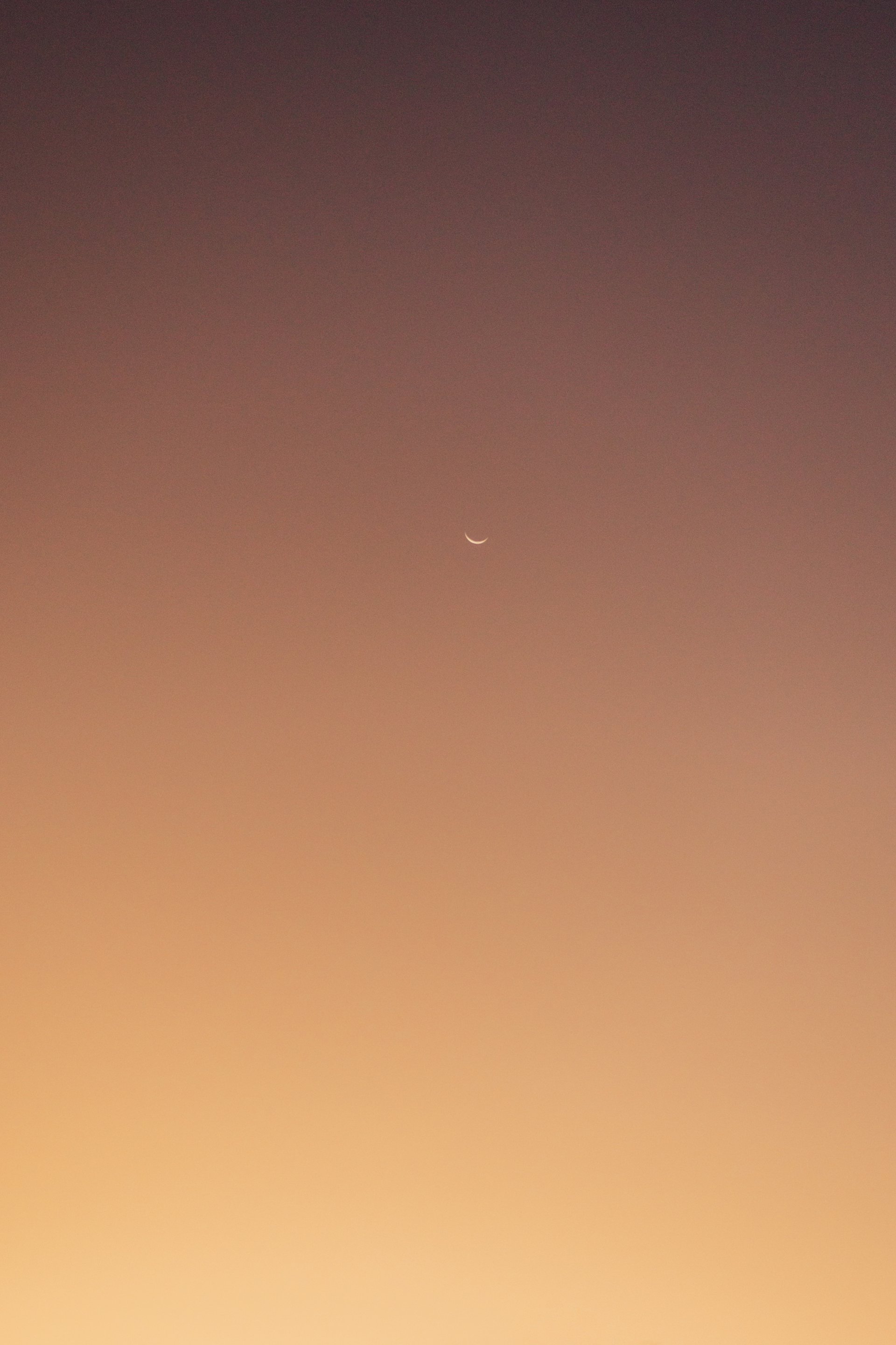 Cape Town-South Africa-travel-story-Flytographer-22