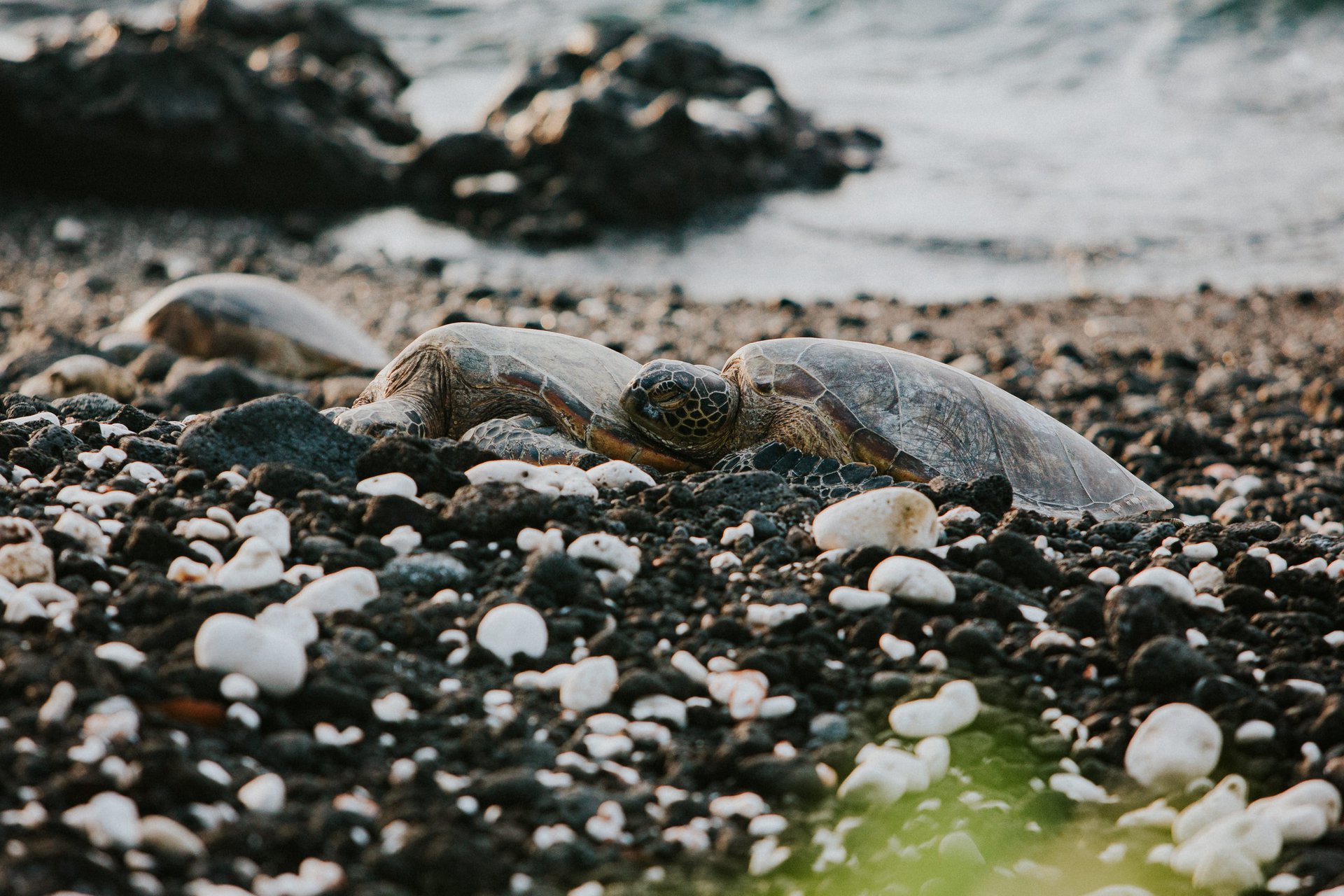 Kona-United States-travel-story-Flytographer-26