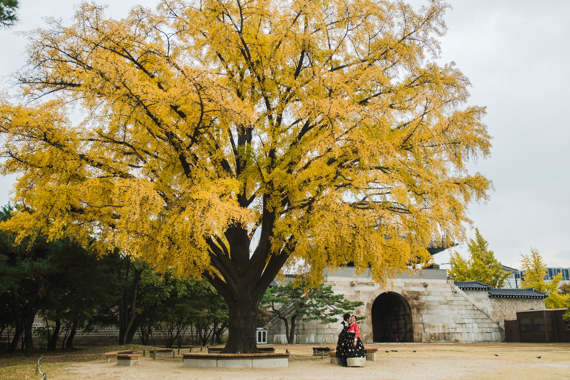 Seoul-Korea-travel-story-Flytographer-57