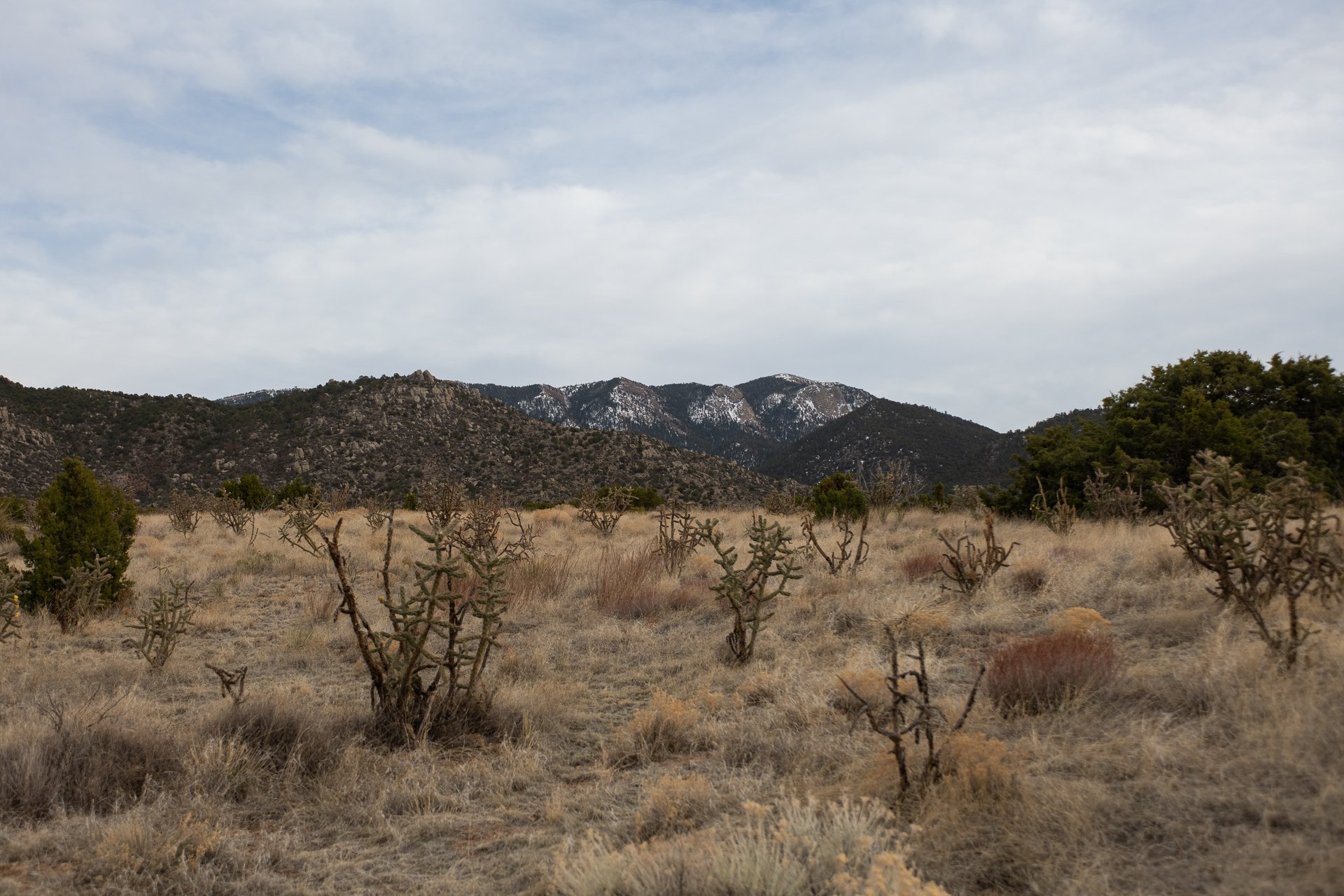 Elena Gallegos Open Space (Foothills)