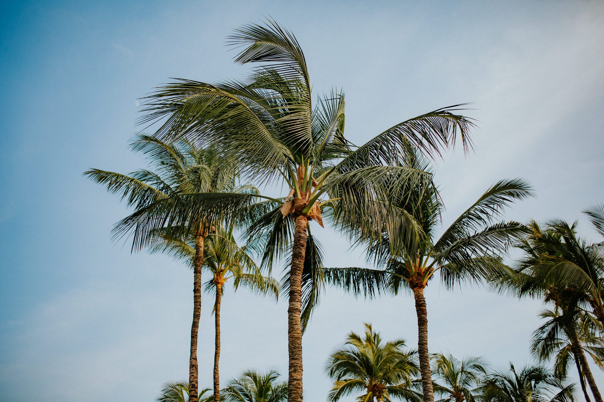 Kona-United States-travel-story-Flytographer-24