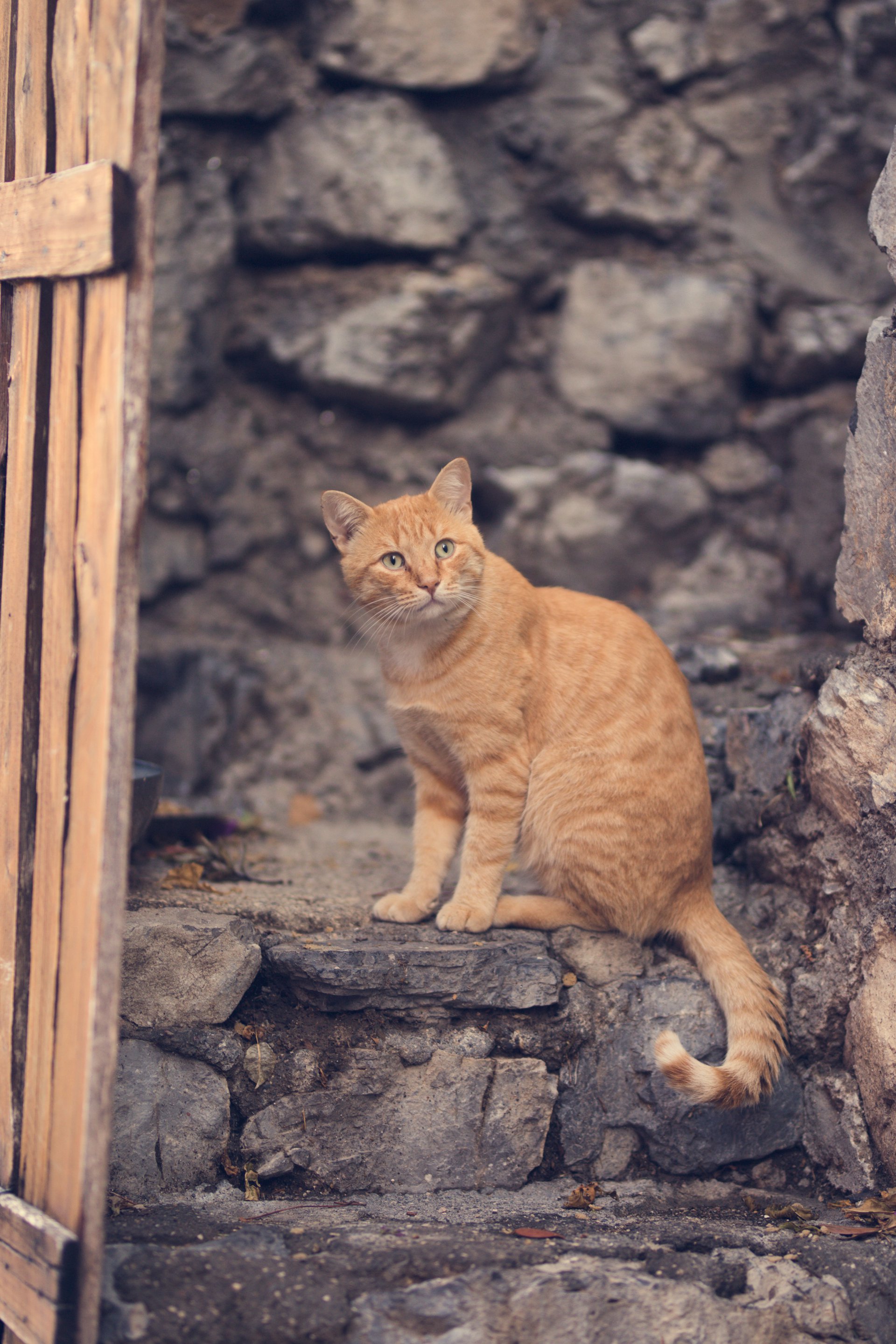 Positano-Italy-travel-story-Flytographer-5