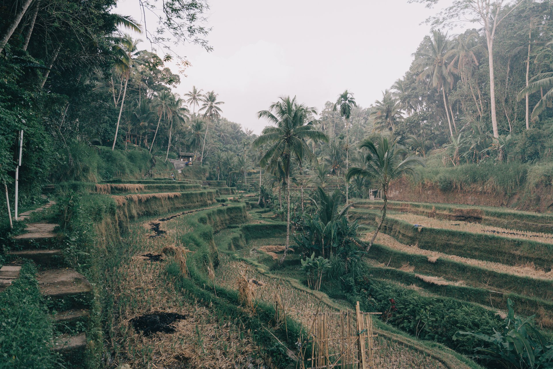 Bali-Indonesia-travel-story-Flytographer-81