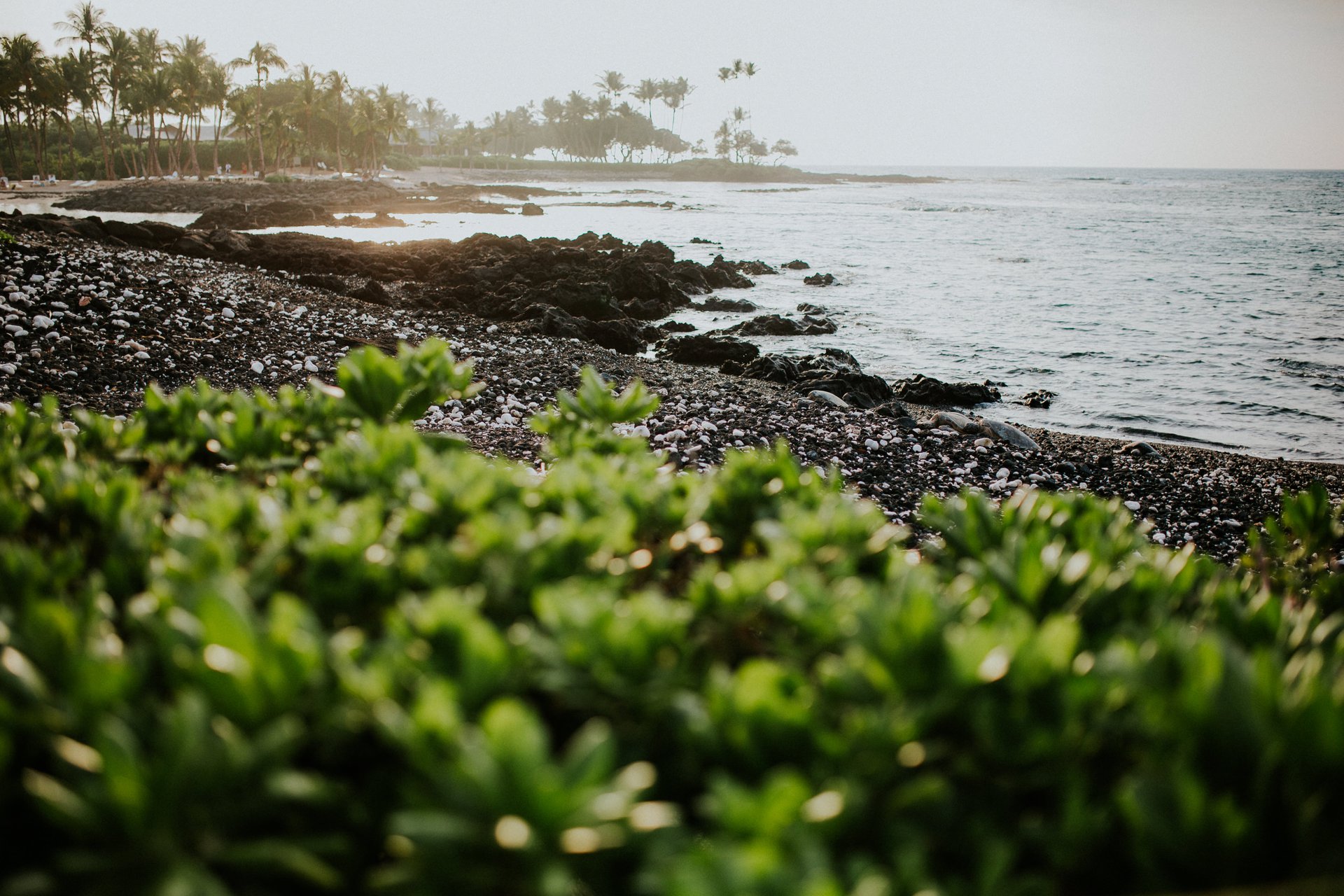 Kona-United States-travel-story-Flytographer-13