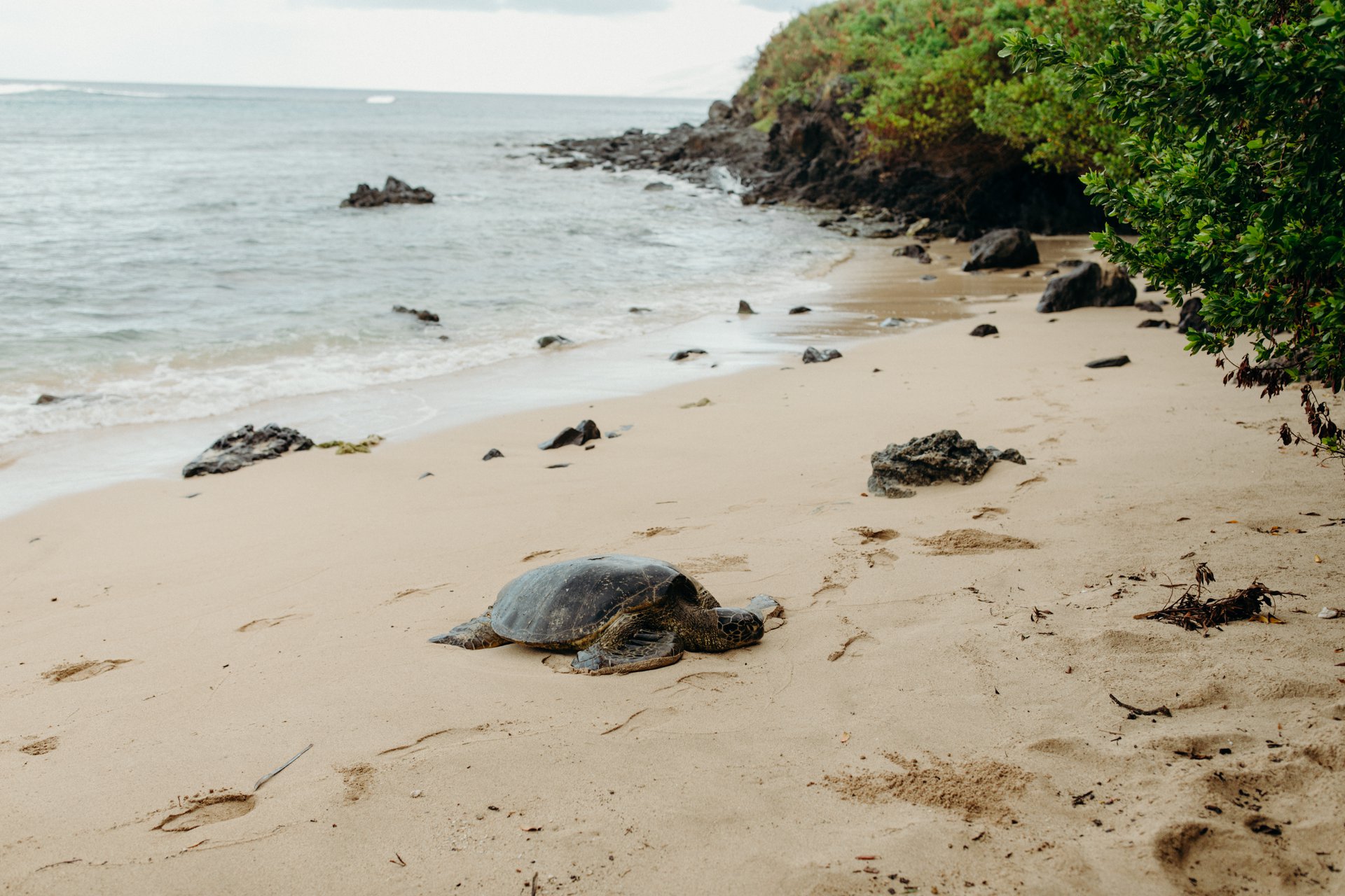 Maui-United States-travel-story-Flytographer-4