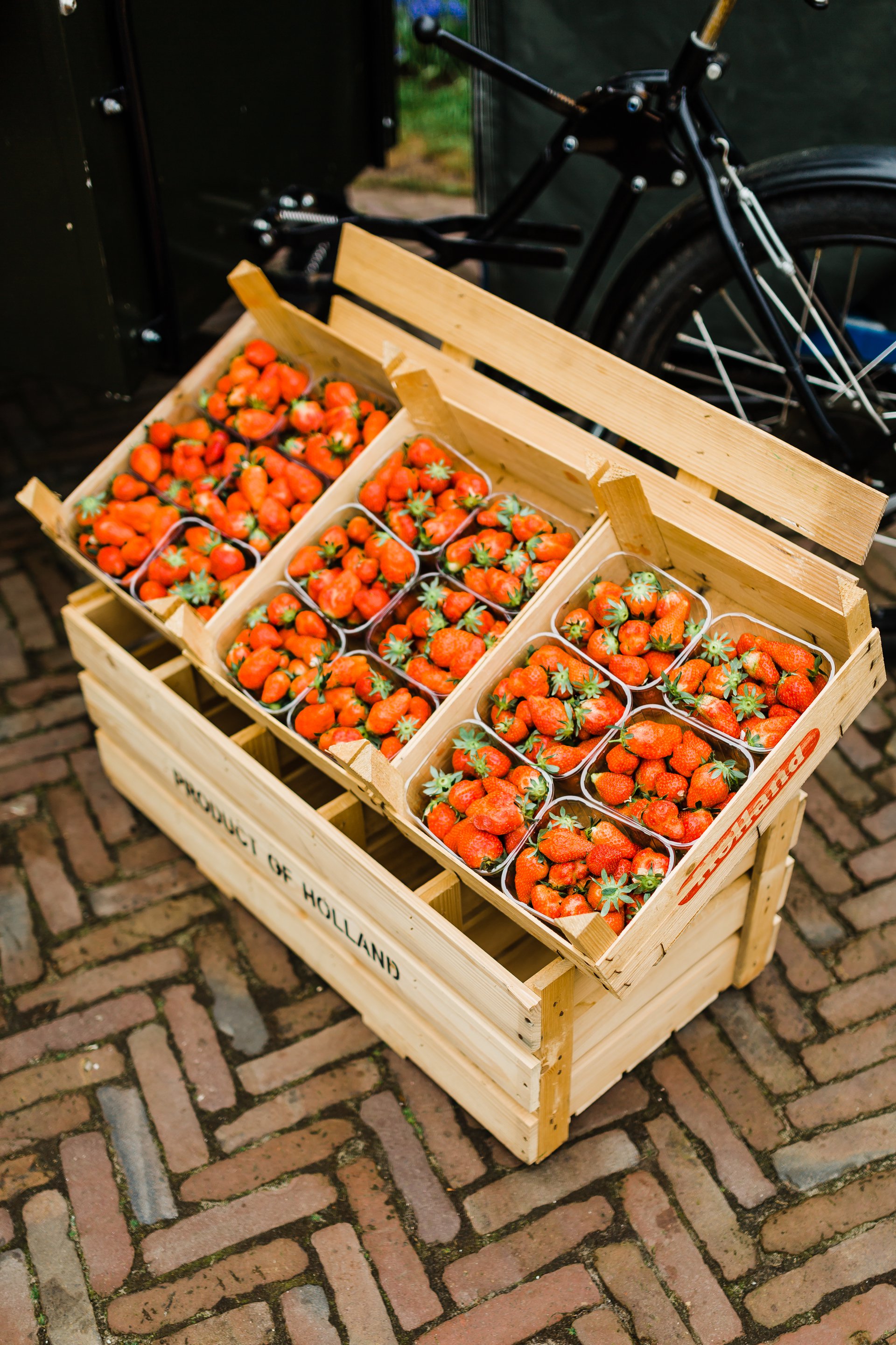 Amsterdam-Netherlands-travel-story-Flytographer-13