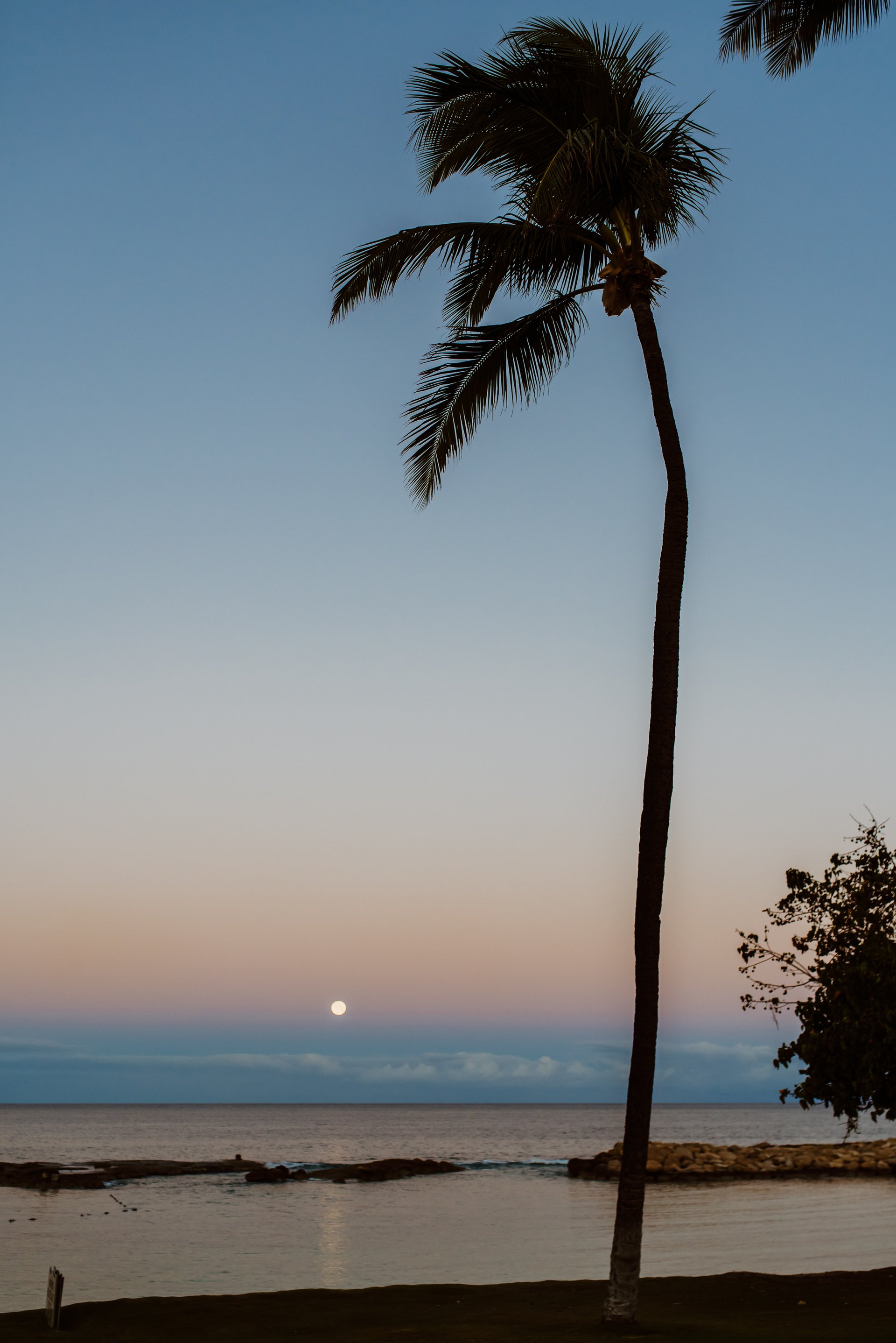 Honolulu-United States-travel-story-Flytographer-3