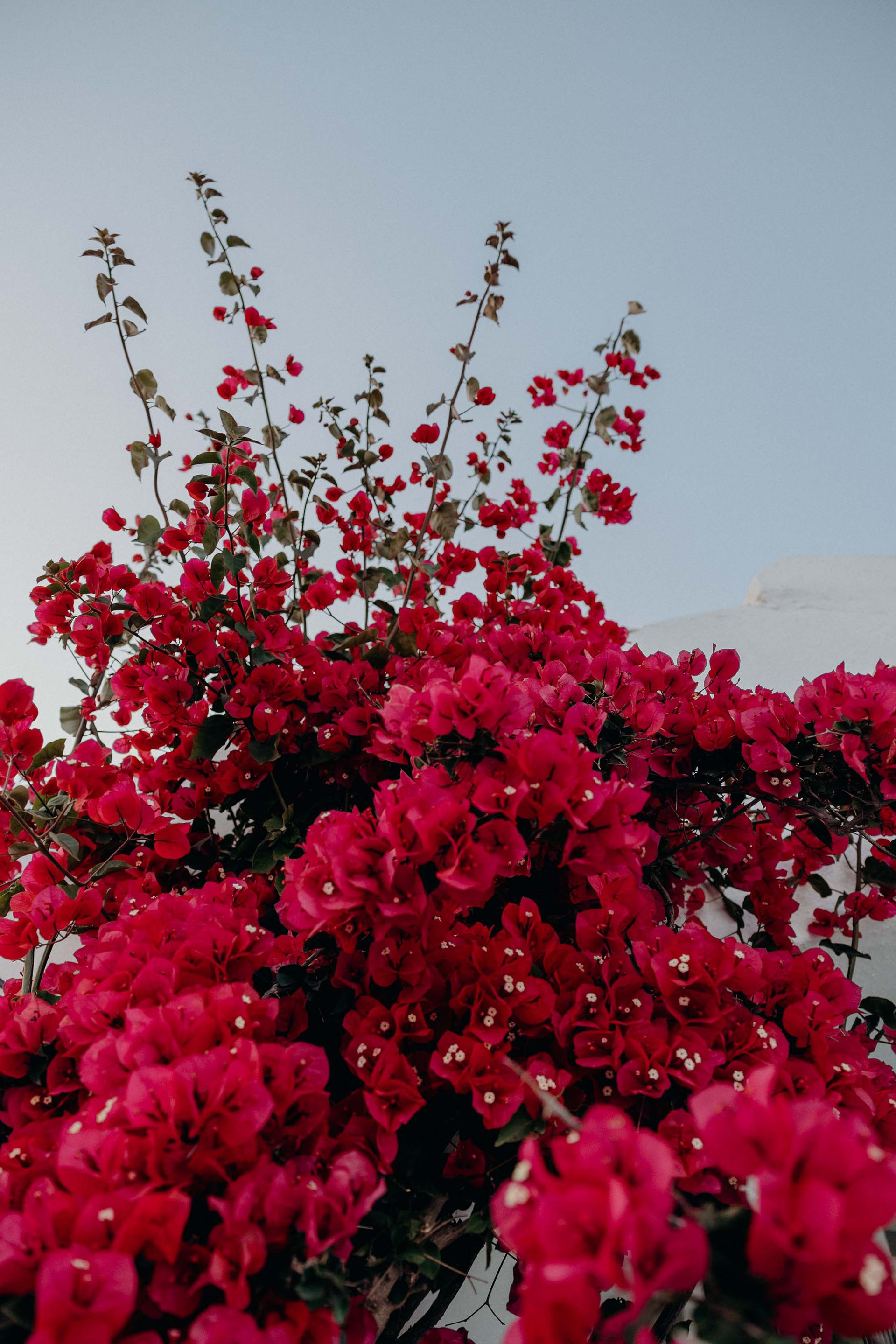 Santorini-Greece-travel-story-Flytographer-28