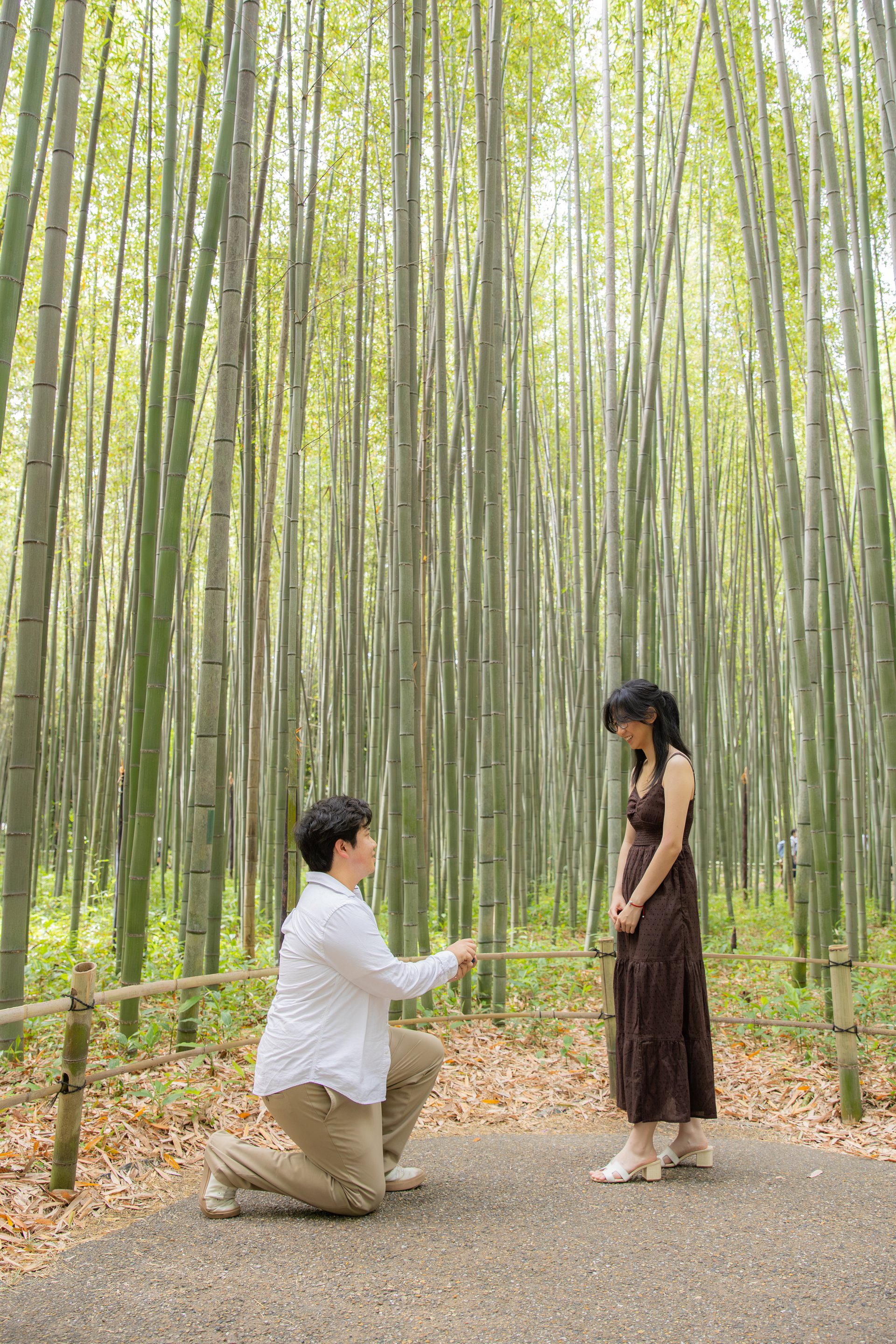 Arashiyama Bamboo Grove Photoshoot in Kyoto, Japan