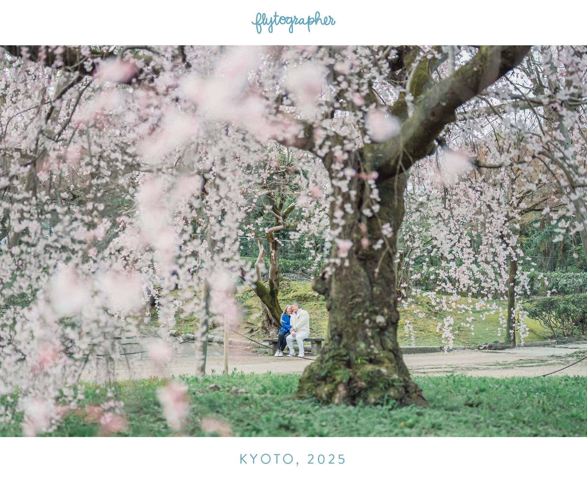 Arashiyama Bamboo Grove, Kyoto | Photographer | Flytographer