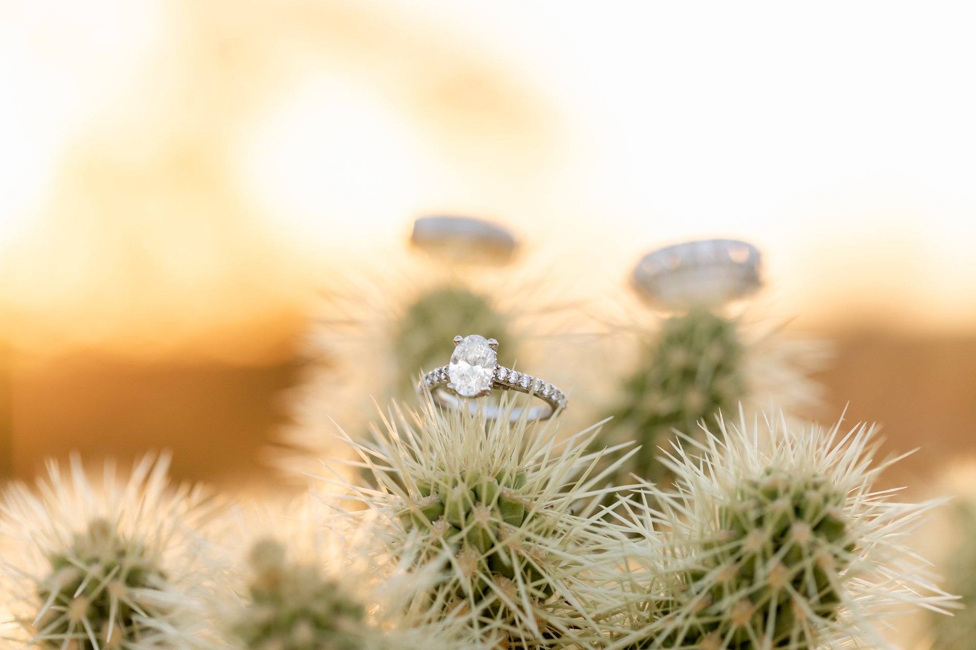 Phoenix-United States-travel-story-Flytographer-53