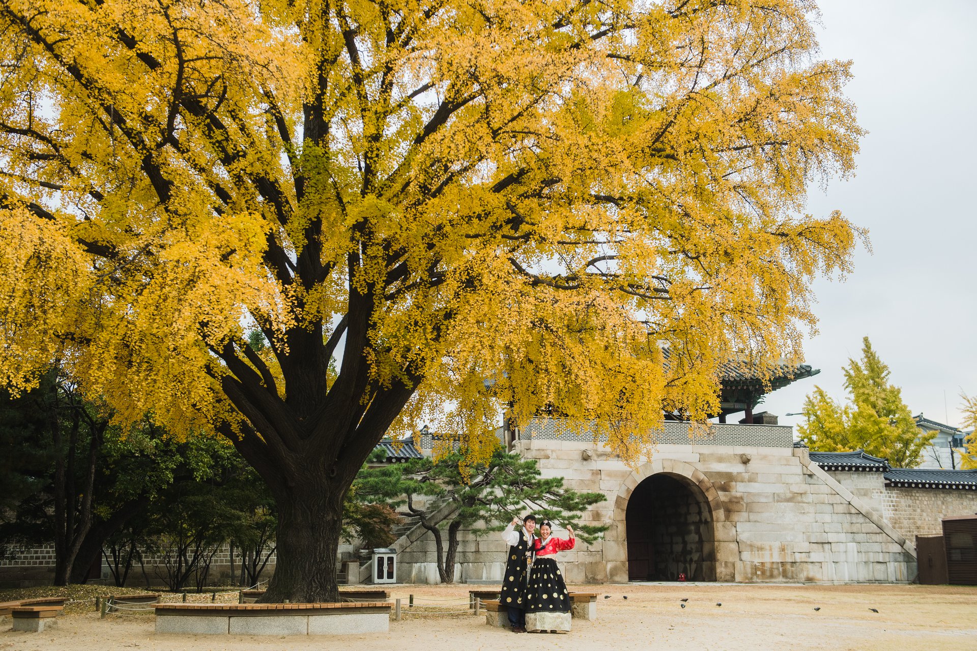 Seoul-Korea-travel-story-Flytographer-59