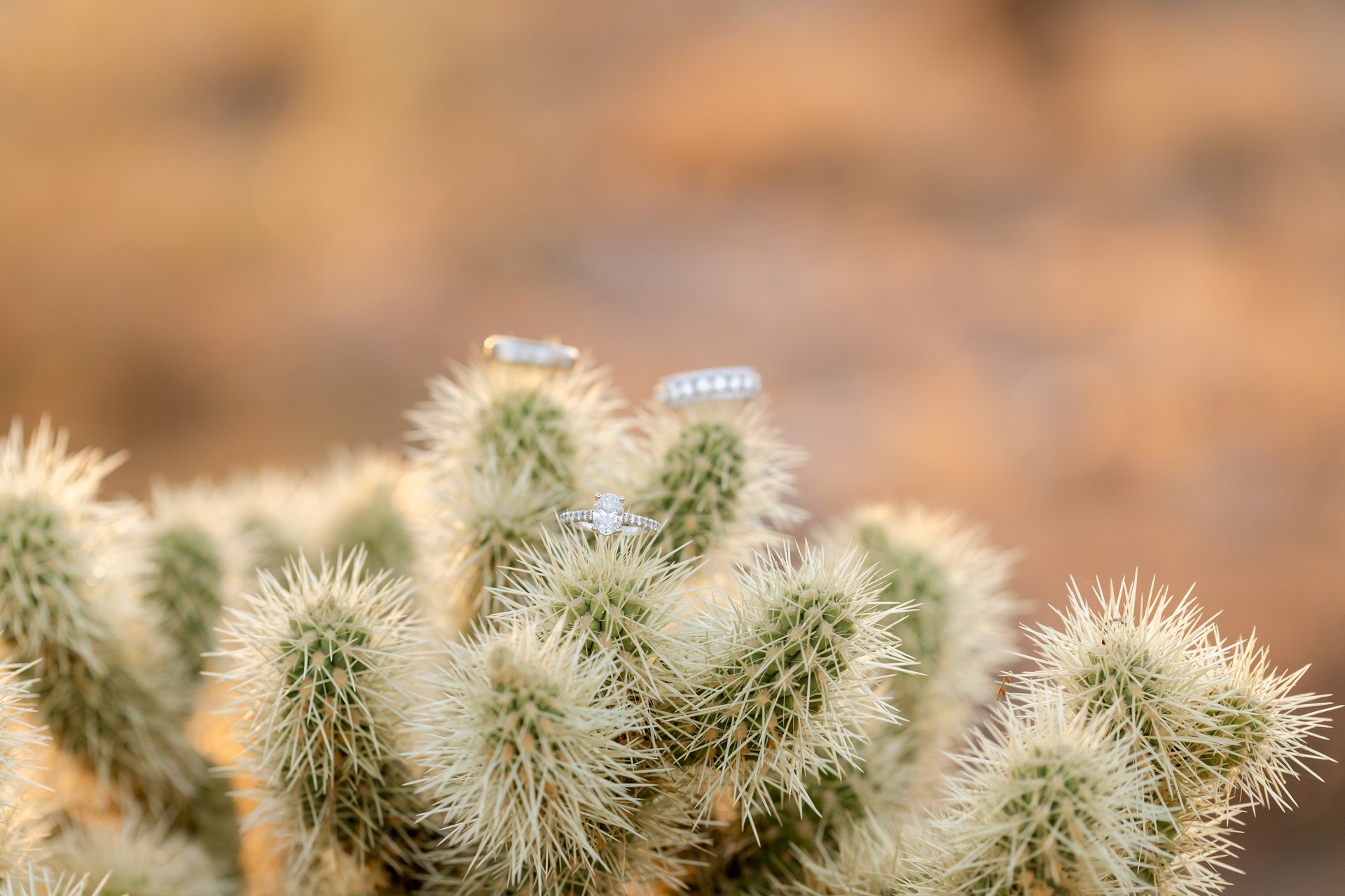Phoenix-United States-travel-story-Flytographer-51