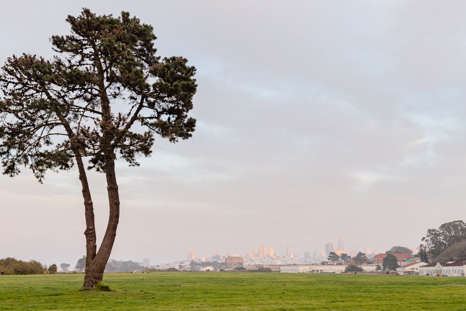 San Francisco-United States-travel-story-Flytographer-33