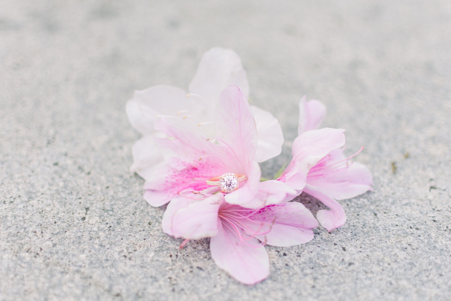 Charleston-United States-travel-story-Flytographer-4