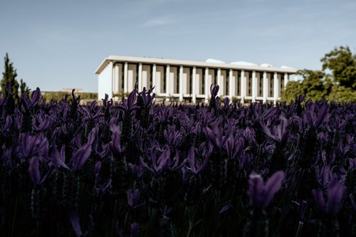 Canberra photoshoot at Queen Elizabeth Terrace