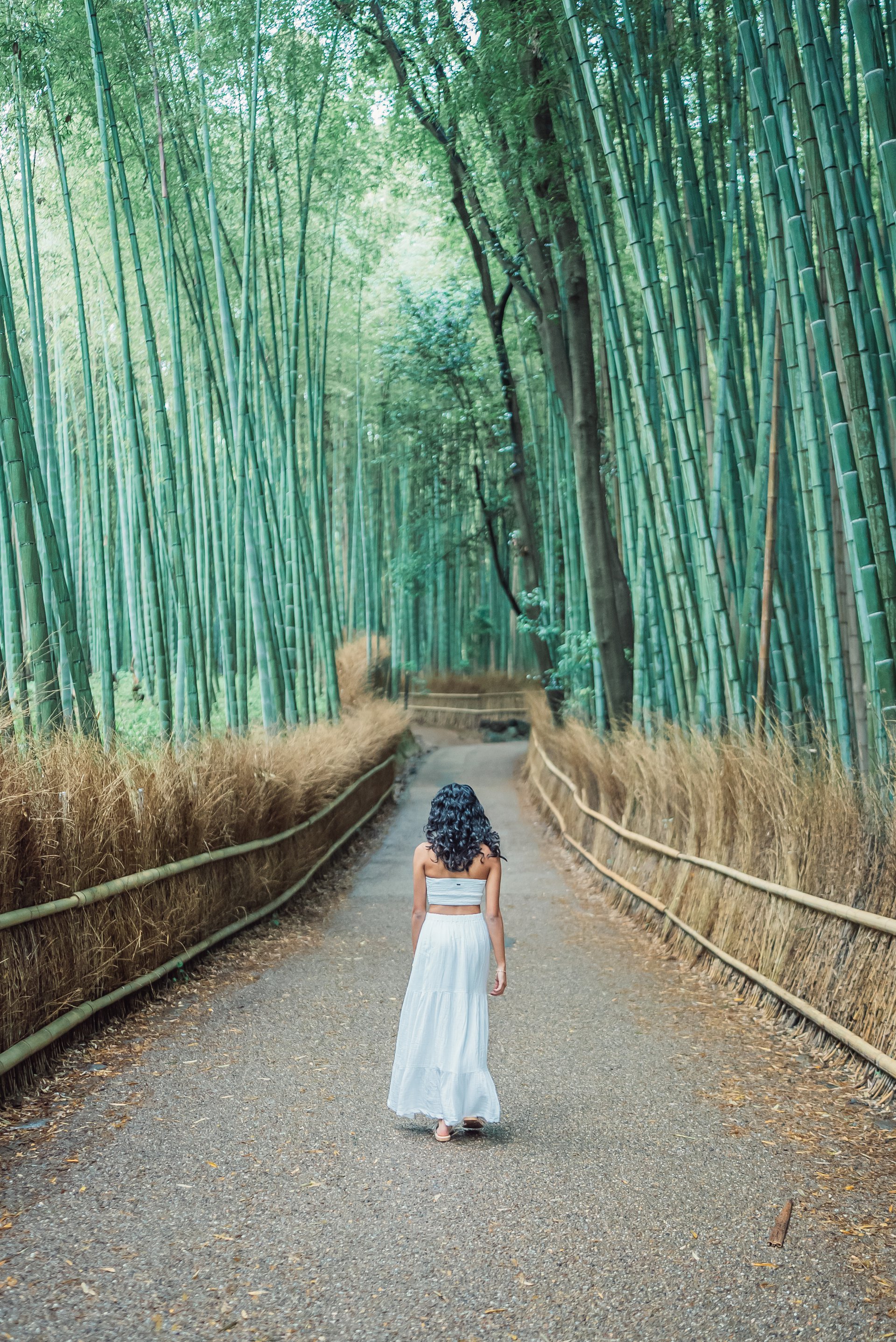 【RITAO CHAN公式アカウント04】◆端渓硯（鷓鴣斑・蕉葉白／十吋） Arashiyama Bamboo Grove, Kyoto | Photographer | Flytographer